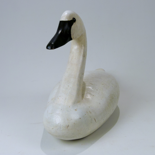 swan front view